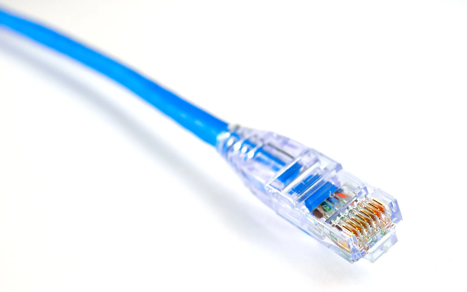 A blue Ethernet network cable with its plug