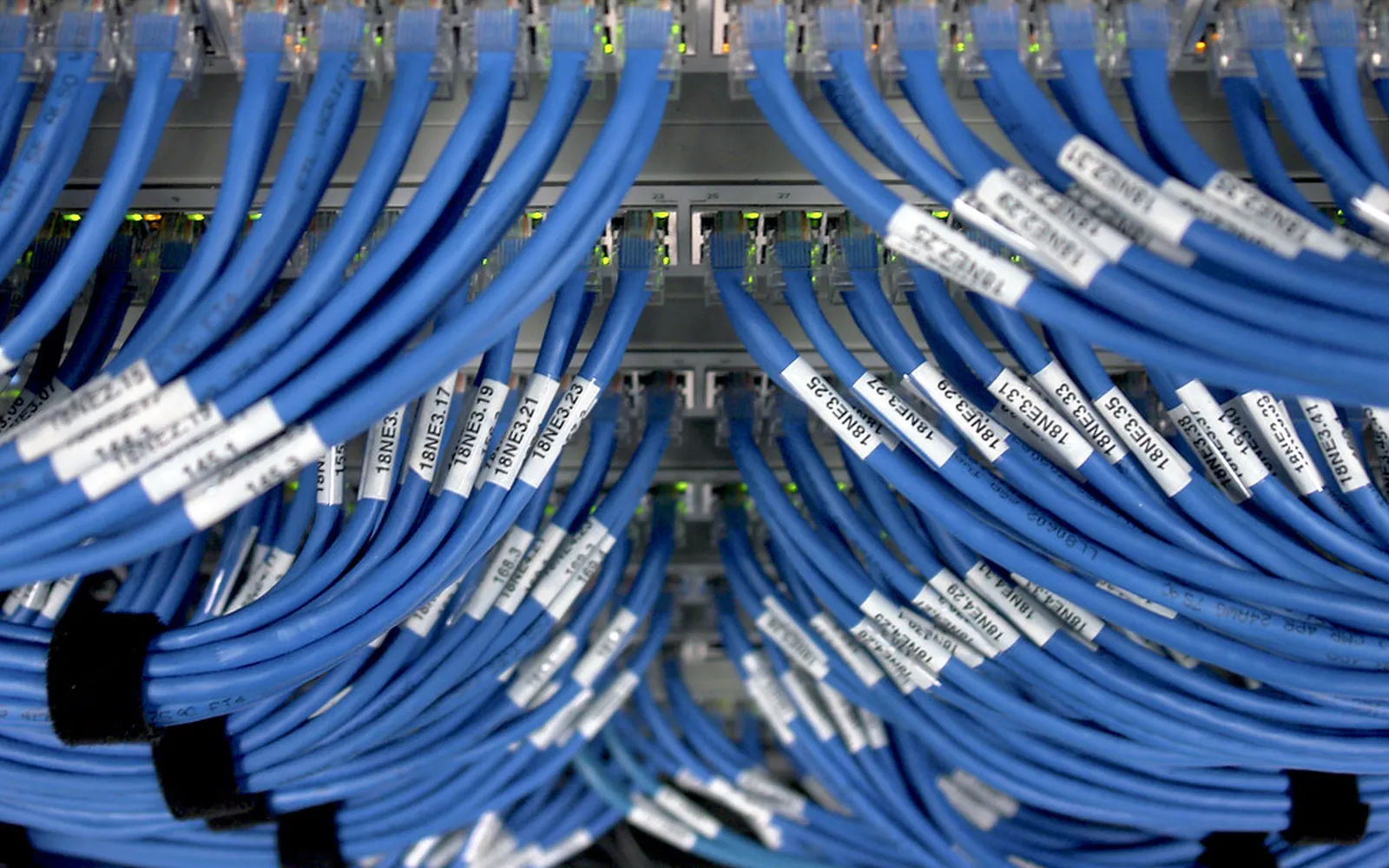 Rows of blue network cables plugged into a switch